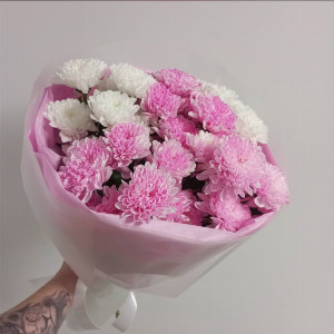 Snow Waltz Chrysanthemum with delivery Tyumen