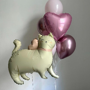 Balloon Set with Cute Kitten with delivery Omsk