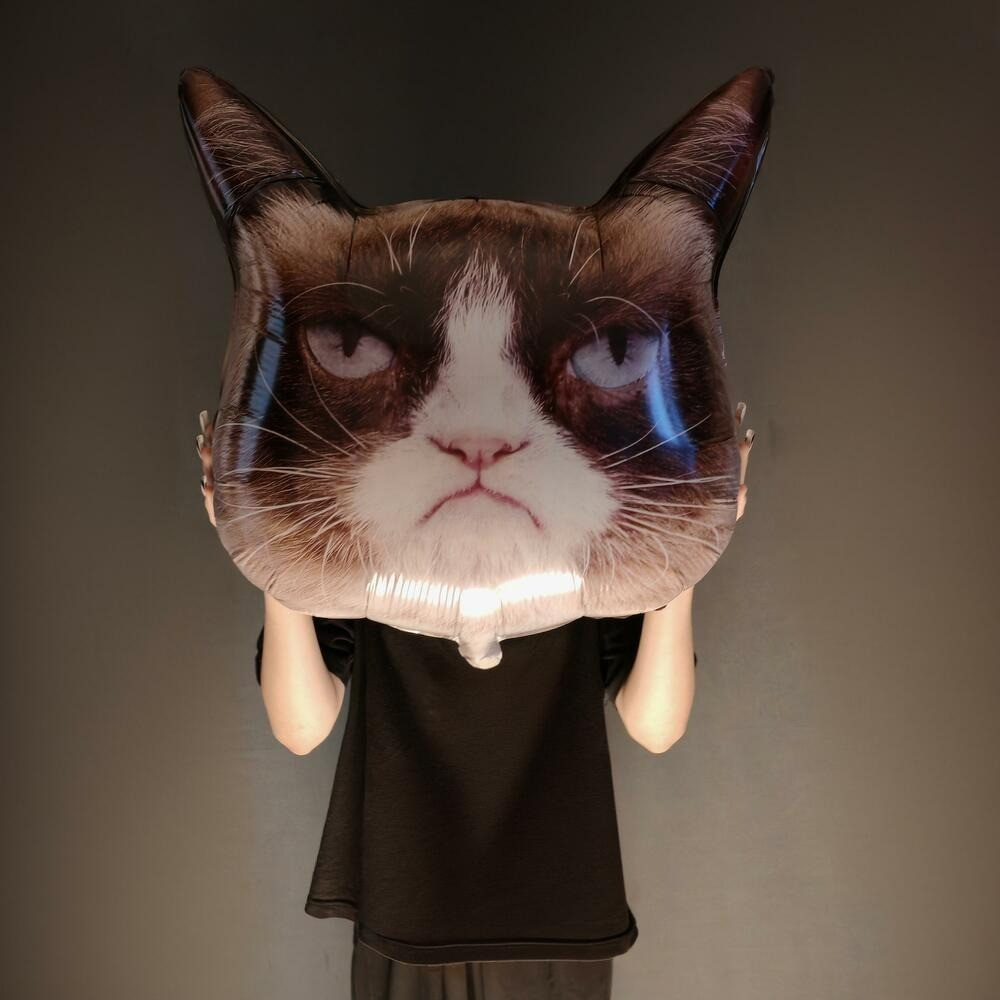 Balloon figure "Disgruntled cat" with delivery Voronezh