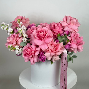 "Tender Classic" with delivery Vladimir