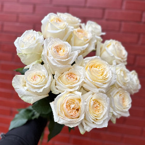 Розы "Сливочный закат"