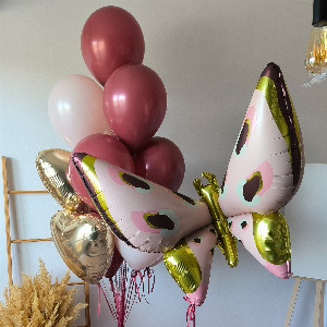 Balloon Set "Fly" with delivery Saint Petersburg