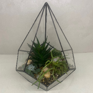 Florarium "Green Geometry" with delivery Krasnodar