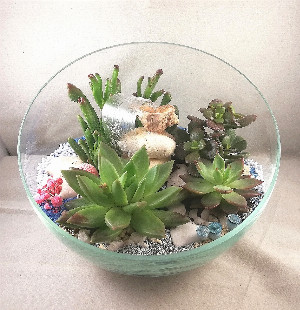 Florarium "Oasis with Waterfall" with delivery Saint Petersburg