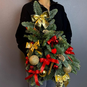 Nobile Classic Fir with delivery Saint Petersburg