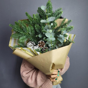 Coniferous Etude Bouquet with delivery Saint Petersburg