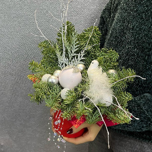 Elf's Gift with delivery Saint Petersburg