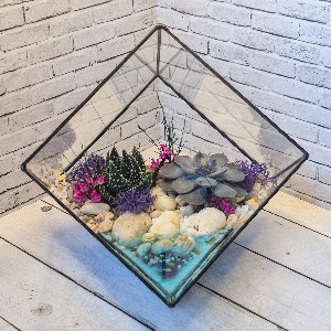 Florarium "Azure Coast" with delivery Saint Petersburg