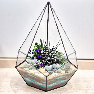Florarium "Winter Watercolor" with delivery Saint Petersburg