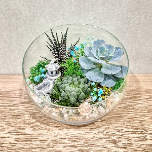 Florarium "Good Mood" with delivery Saint Petersburg
