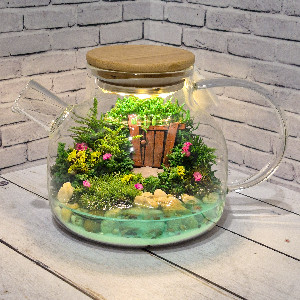 Mossarium "Magic Door" with delivery Saint Petersburg