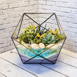 Florarium "Joy" with delivery Saint Petersburg