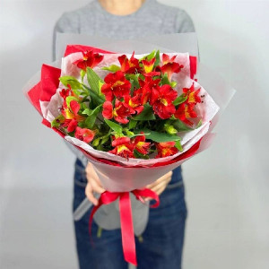Joy of Color with delivery Moscow
