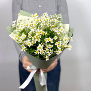 Chamomile Joy with delivery Moscow