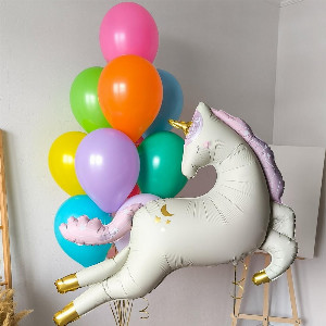 Rainbow Flight Balloon Set with delivery Saint Petersburg