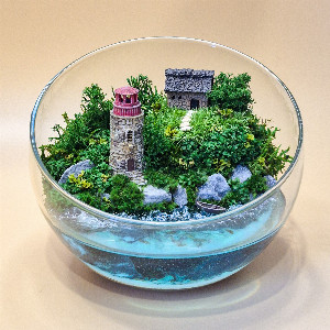 Mossarium "Lighthouse Keeper" with delivery Saint Petersburg