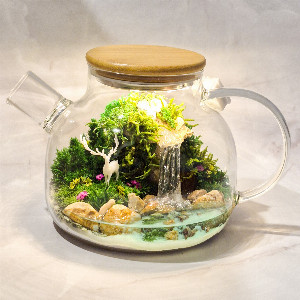 Winter Tale Mossarium with delivery Saint Petersburg