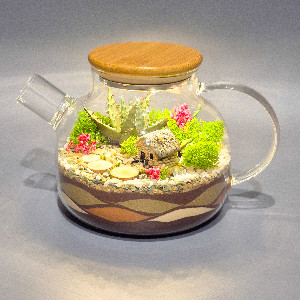Village Summer Terrarium with delivery Saint Petersburg