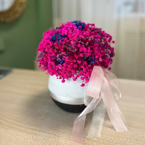 Gypsophila "Bright Cloud" with delivery Nizhniy-Novgorod