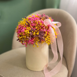 Gypsophila "Sunbeam" with delivery Nizhniy-Novgorod