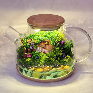 Forest Fairy Tale Mossarium with delivery Saint Petersburg