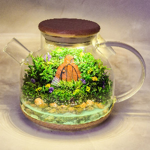 Emerald Forest Mossarium with delivery Saint Petersburg