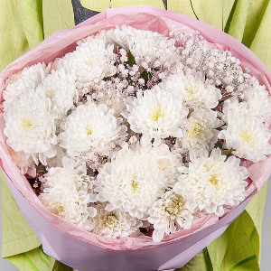 Airy Cloud Bouquet with delivery Saint Petersburg