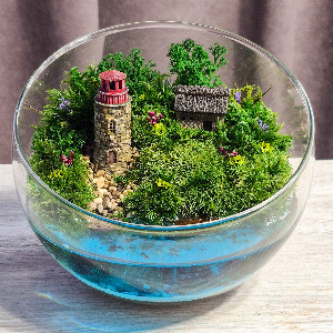Lighthouse Bay Mossarium with delivery Saint Petersburg