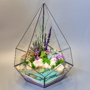 Lavender Spring Terrarium with delivery Saint Petersburg