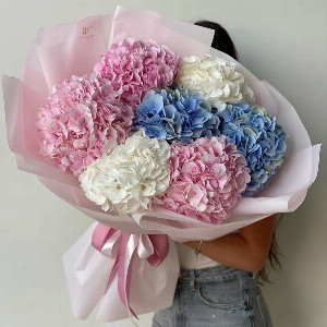 Bouquet "Cloud of Tenderness" of Hydrangeas with delivery Mytishchi