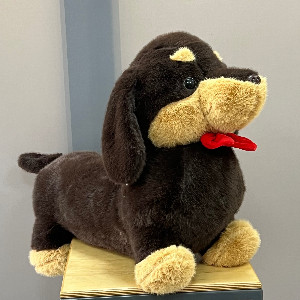 Fiery Passion Dachshund with delivery Belgorod