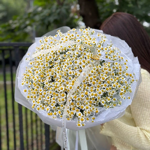 Field Charm Bouquet with delivery Mytishchi