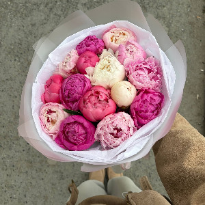 Peony Dawn Bouquet with delivery Tyumen
