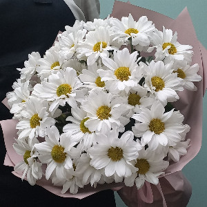 Daisy Happiness Bouquet with delivery Tyumen