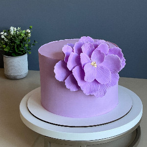 Summer Delight Cake with delivery Nizhniy-Novgorod