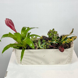 Home Forest Composition with delivery Moscow