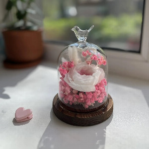 Florarium "Small Heart" with delivery Nizhniy-Novgorod
