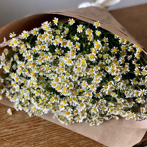 Field Fairytale Bouquet with delivery Saint Petersburg