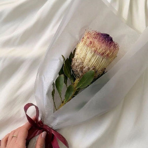 Exotic Mystery Bouquet with delivery Saint Petersburg