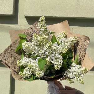 White Lilac Bouquet with delivery Ufa