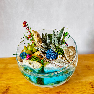 Sunny Harbor Florarium with delivery Yekaterinburg