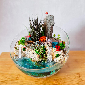 Sea Breeze Florarium with delivery Yekaterinburg