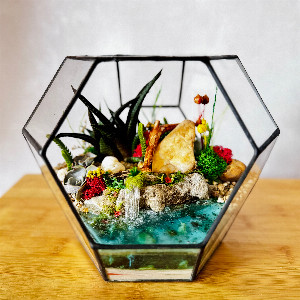 Dream Shore Florarium with delivery Yekaterinburg