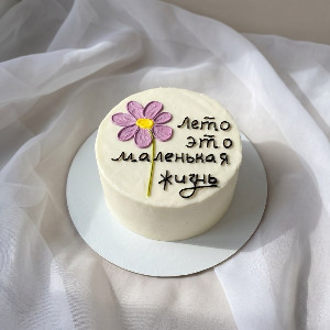 Summer Mood Bento Cake with delivery Moscow