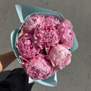 Pink Haze Peony Bouquet with delivery Tyumen