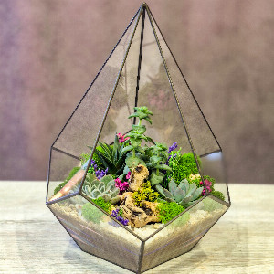 Royal Florarium with delivery Saint Petersburg