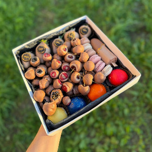 Berry Constellation Set with delivery Podolsk