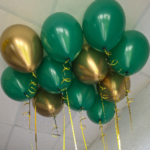 Forest Mystery Balloon Set with delivery Saint Petersburg