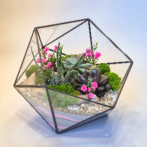 Pink Tenderness Florarium with delivery Saint Petersburg