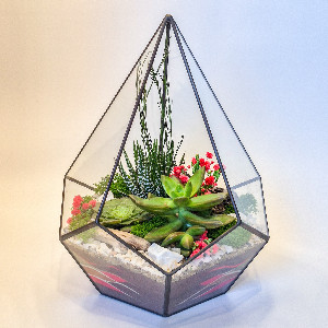 Inspiration Florarium with delivery Saint Petersburg